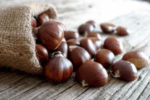 Activité d'automne : la récolte des châtaignes !